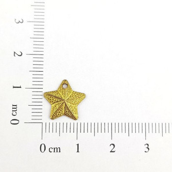 AC LATÃO ESTRELA DO MAR P 3D 1 FURO