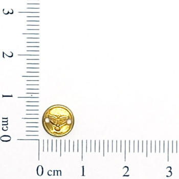 AC LATÃO REDONDO MINI ESPIRITO SANTO 2 FUROS