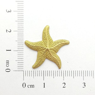 AC LATÃO ESTRELA DO MAR G 3D S/ ARG