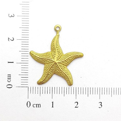 AC LATÃO ESTRELA DO MAR G 3D 1 ARG