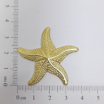 AC LATÃO ESTRELA DO MAR G TXT 35MM